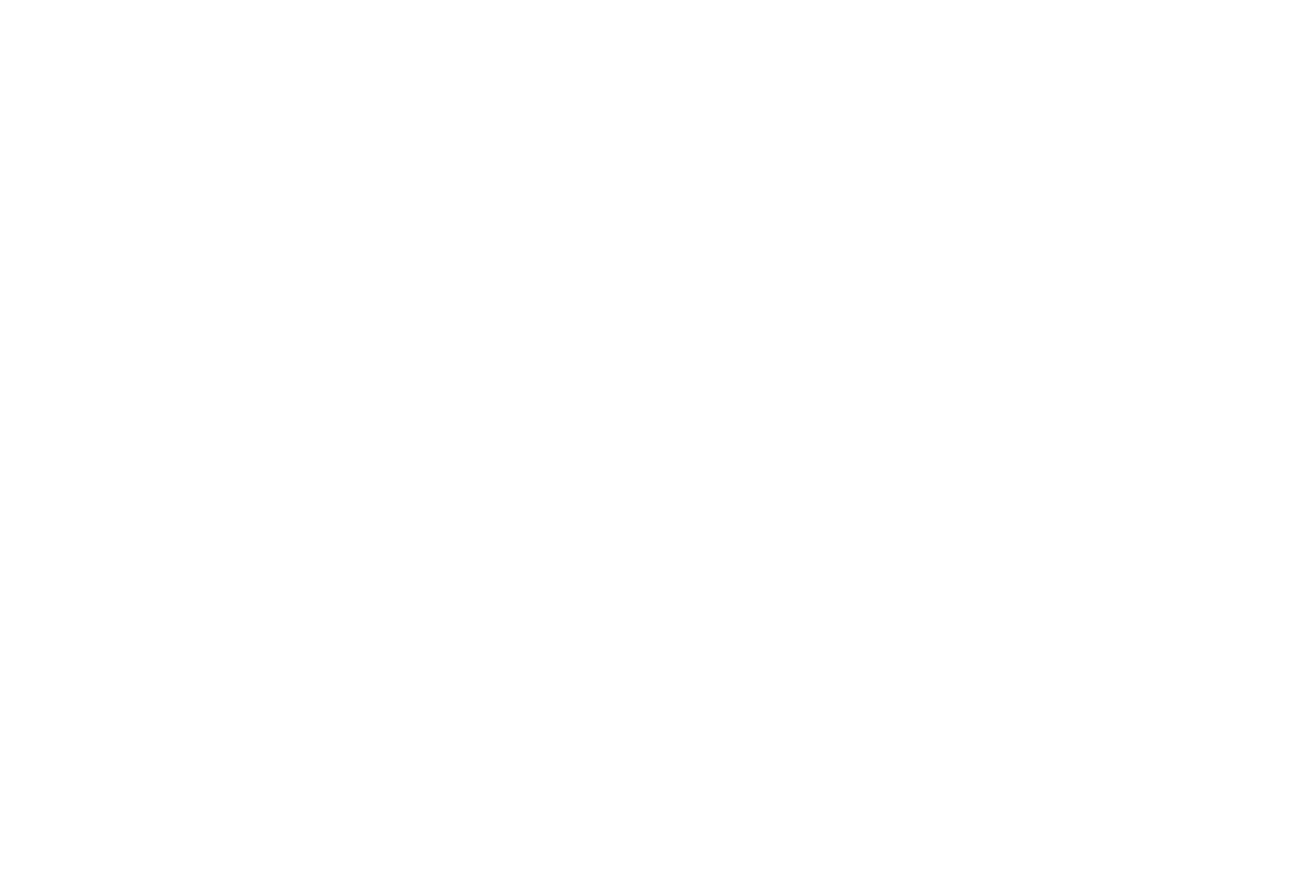 Mir Trade Center logo