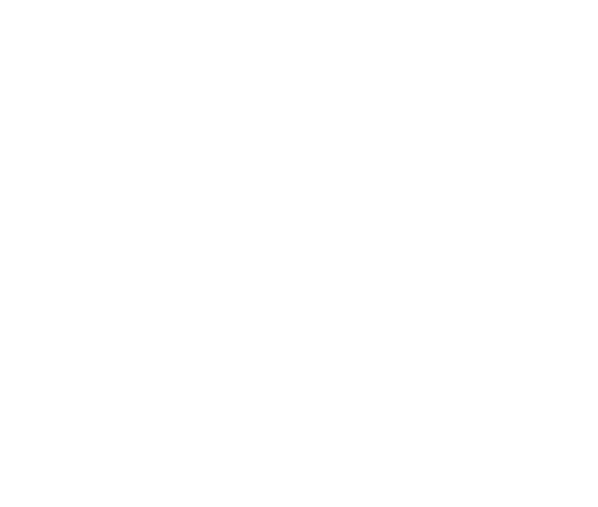 Aziz Neer logo