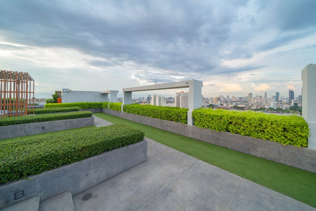 Rooftop Terrace & BBQ Space